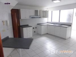 3 Habitaciones Casa en alquiler en San Borja, Lima ALAMEDA PICAFLORES, LIMA, LIMA