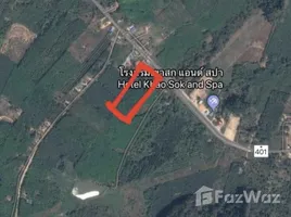 Surat Thani で売却中 土地区画, Khlong Sok, ファノム, Surat Thani