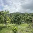  Land for sale in Taling Ngam, Surat Thani, Taling Ngam, Koh Samui