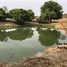  토지을(를) FazWaz.co.kr에서 판매합니다., 매 카사, Mae Sot, 탁, 태국