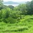  Land for sale in Costa Rica, Tilaran, Guanacaste, Costa Rica