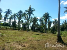  Land for sale in Calabarzon, Magallanes, Cavite, Calabarzon