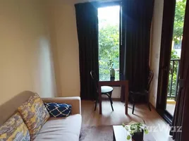 Studio Apartment for rent at THE BASE Central Phuket, Wichit, Phuket Town, Phuket