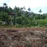  Land for sale in Phuket, Kathu, Kathu, Phuket