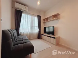 คอนโด สตูดิโอ ให้เช่า ในโครงการ เอสเซ็นท์ คอนโด, ฟ้าฮ่าม, เมืองเชียงใหม่, เชียงใหม่