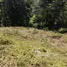 Terrain à vendre à Macacona de Esparza, Esparza