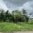 Земельный участок for sale in Ban Mai, Нонтабури, Ban Mai
