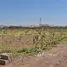 Land for sale in Morocco, Loudaya, Marrakech, Marrakech Tensift Al Haouz, Morocco
