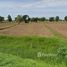  Land for sale in Mueang Khong, Nakhon Ratchasima, Mueang Khong, Khong
