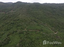 N/A Land for sale in Na Mueang, Koh Samui Land 11 Rai For Sale In Na Mueang!