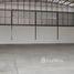  Warehouse for rent in Lat Lum Kaeo, Pathum Thani, Na Mai, Lat Lum Kaeo