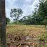  Land for sale in Limon, Pococi, Limon