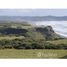  Land for sale in Los Lagos, Chonchi, Chiloe, Los Lagos