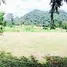  Land for sale in Nakhon Ratchasima, Mu Si, Pak Chong, Nakhon Ratchasima