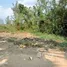 ขายที่ดิน ใน บึงบอน, ปทุมธานี, บึงบอน, หนองเสือ