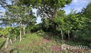 N/A Land for sale in Wang Kai Thuean, Chai Nat 