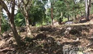 N/A Land for sale in Kathu, Phuket 