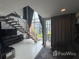 1 Bedroom Condo for rent at D65 Condominium, Phra Khanong Nuea, Watthana, Bangkok, Thailand