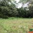  Land for sale in Fernando De Noronha, Rio Grande do Norte, Fernando De Noronha, Fernando De Noronha