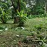  Land for sale in Mae Hia, Chiang Mai, Mae Hia, Mueang Chiang Mai