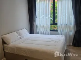 คอนโด 1 ห้องนอน ให้เช่า ในโครงการ เดอะ คิวบ์ อะเมซ, ศรีสุนทร, ถลาง