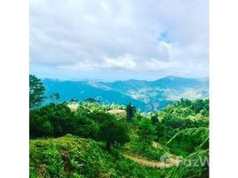  Grundstück zu verkaufen im Uvita, Osa, Puntarenas