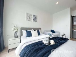 อพาร์ทเม้นท์ 1 ห้องนอน ให้เช่า ในโครงการ เดอะริช พระราม 9 - ศรีนครินทร์, สวนหลวง, สวนหลวง, กรุงเทพมหานคร