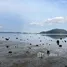  Terreno (Parcela) en venta en Rawai, Phuket, Rawai, Phuket Town, Phuket, Tailandia