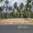  Land for sale in Nakhon Si Thammarat, Khanom, Khanom, Nakhon Si Thammarat