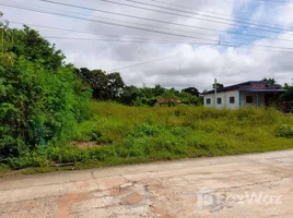  Land for sale in Non Thai Nakhon Ratchasima, Non Thai, Non Thai, Nakhon Ratchasima
