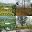  Земельный участок for sale in Sarika, Nakhon Nayok, Sarika, Mueang Nakhon Nayok, Nakhon Nayok