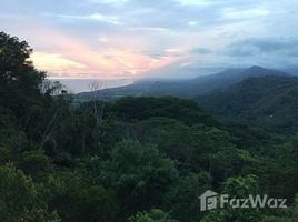  Land for sale in Aguirre, Puntarenas, Aguirre