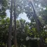 ขายที่ดิน ใน สะเนียน, น่าน, สะเนียน, เมืองน่าน