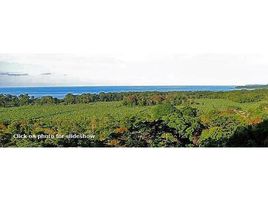 N/A Land for sale in , Limon Hone Creek, Limón, Address available on request