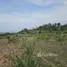  Terreno (Parcela) en venta en Badian, Central Visayas, Badian