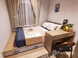 คอนโด 1 ห้องนอน ให้เช่า ในโครงการ Altitude Unicorn Sathorn - Tha Phra, ตลาดพลู, ธนบุรี, กรุงเทพมหานคร, ไทย