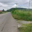 ขายที่ดิน ใน ตะขบ, นครราชสีมา, ตะขบ, ปักธงชัย