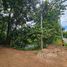 ขายที่ดิน ใน ขามเฒ่าพัฒนา, มหาสารคาม, ขามเฒ่าพัฒนา