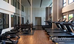 รูปถ่าย 2 of the Общий тренажёрный зал at ไฮคอนโด ไอคอนิค