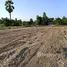  Land for sale in Thailand, Ban Chian, Hankha, Chai Nat, Thailand