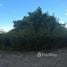  Land for sale in Koh Samui Surat Thani, Bo Phut, Koh Samui