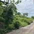  Land for sale in Puntarenas Puntarenas, Puntarenas, Puntarenas