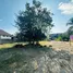  Land for sale in Rim Nuea, Chiang Mai, Rim Nuea, Mae Rim