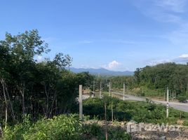 ขายที่ดิน ใน นาท่ามเหนือ, ตรัง, นาท่ามเหนือ, เมืองตรัง, ตรัง