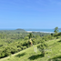  Terrain for sale in Taling Ngam, Koh Samui, Taling Ngam