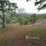  Land for sale in Jose Santos Guardiola, Bay Islands, Jose Santos Guardiola