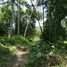  Land for sale in Ubud, Gianyar, Ubud