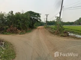  Land for sale in Mae Rim Chiang Mai, Mueang Kaeo, Mae Rim, Chiang Mai