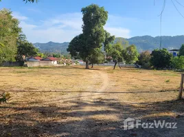 ขายที่ดิน ใน บ่อผุด, สุราษฎร์ธานี, บ่อผุด, เกาะสมุย, สุราษฎร์ธานี