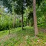  Land for sale at Santi Thani, Maenam, Koh Samui